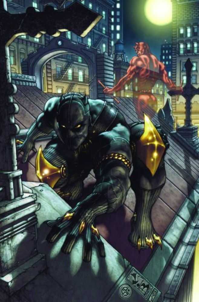 Black Panther Man Without Fear #513
