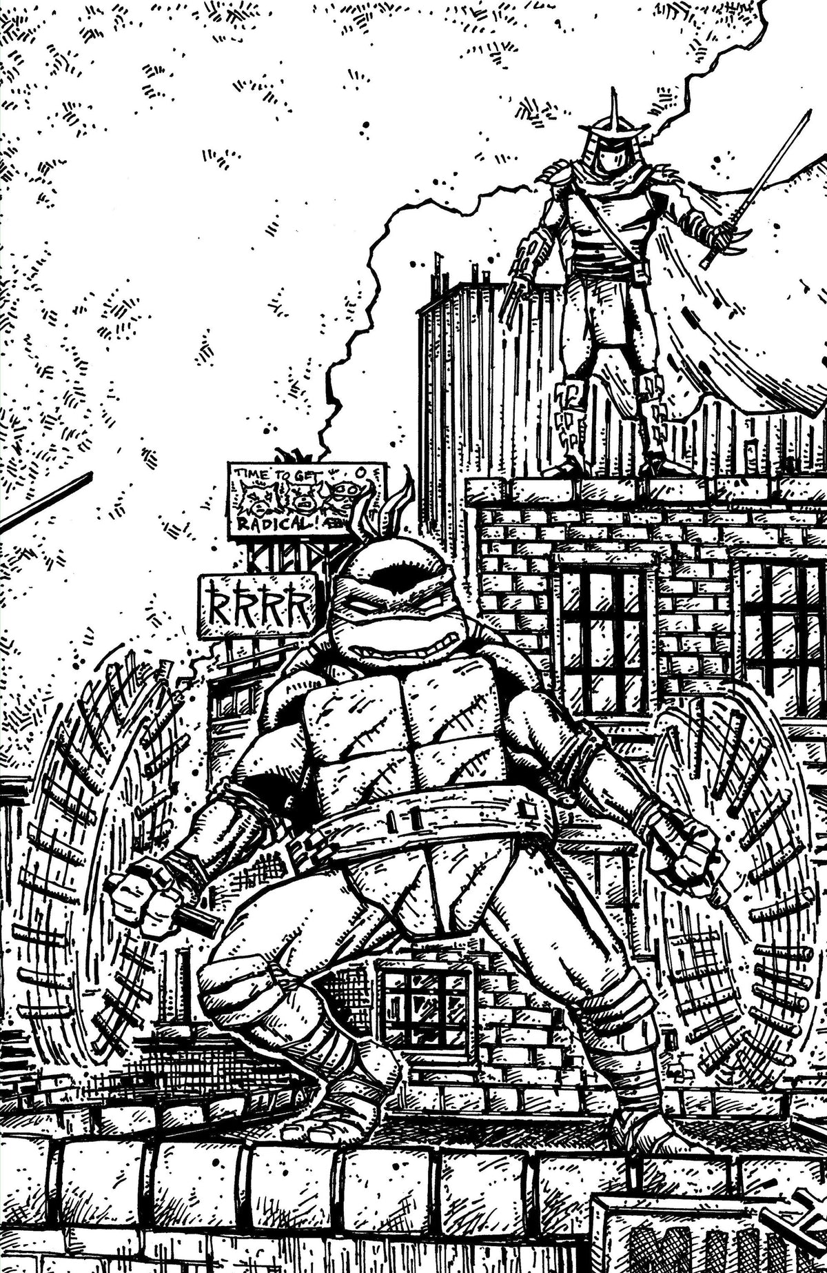 Teenage Mutant Ninja Turtles #23 1:10 Eastman & Bishop Black & White Full Art Variant