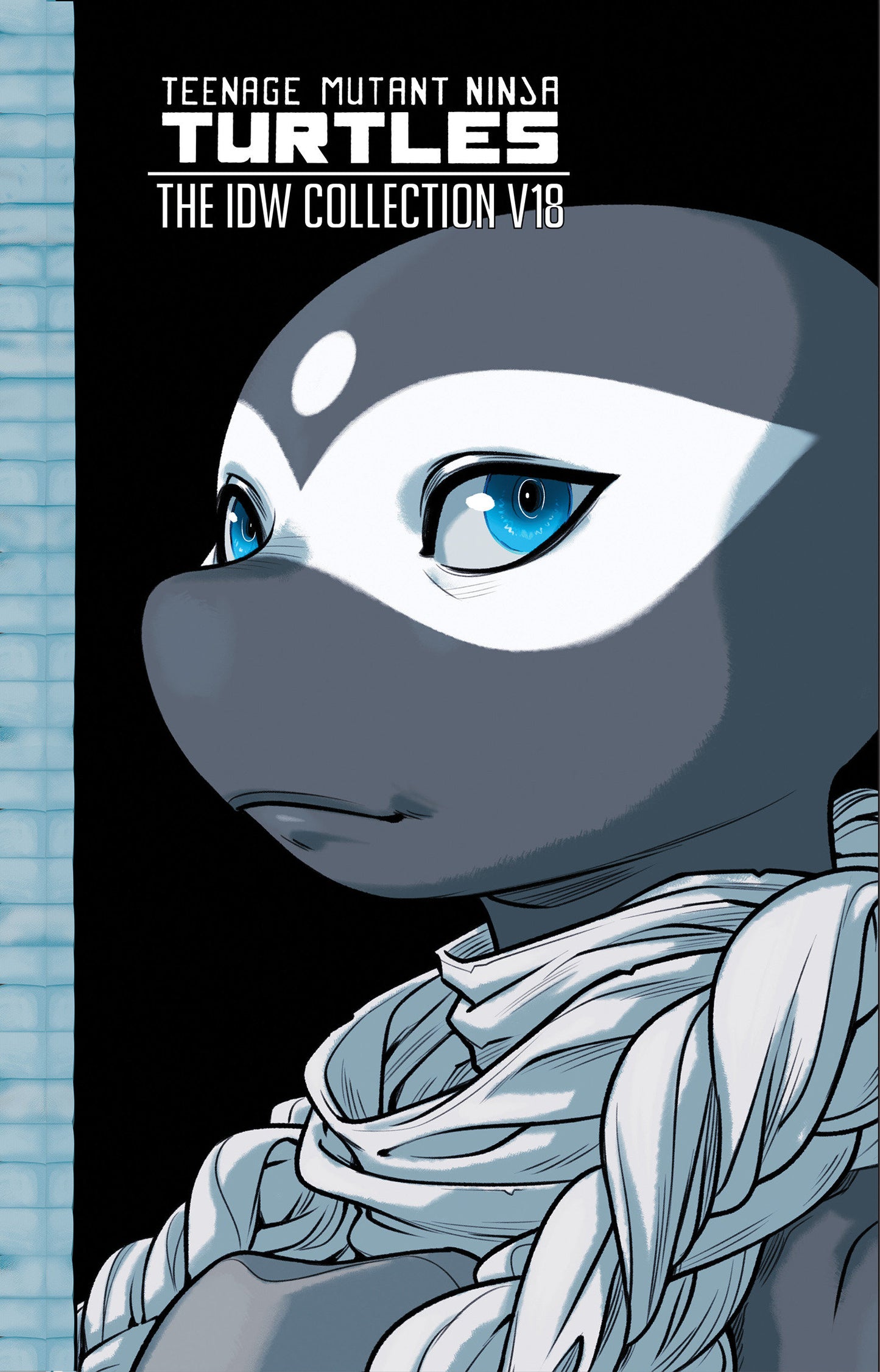 Teenage Mutant Ninja Turtles: The Idw Collection, Volume 18 (Damaged)