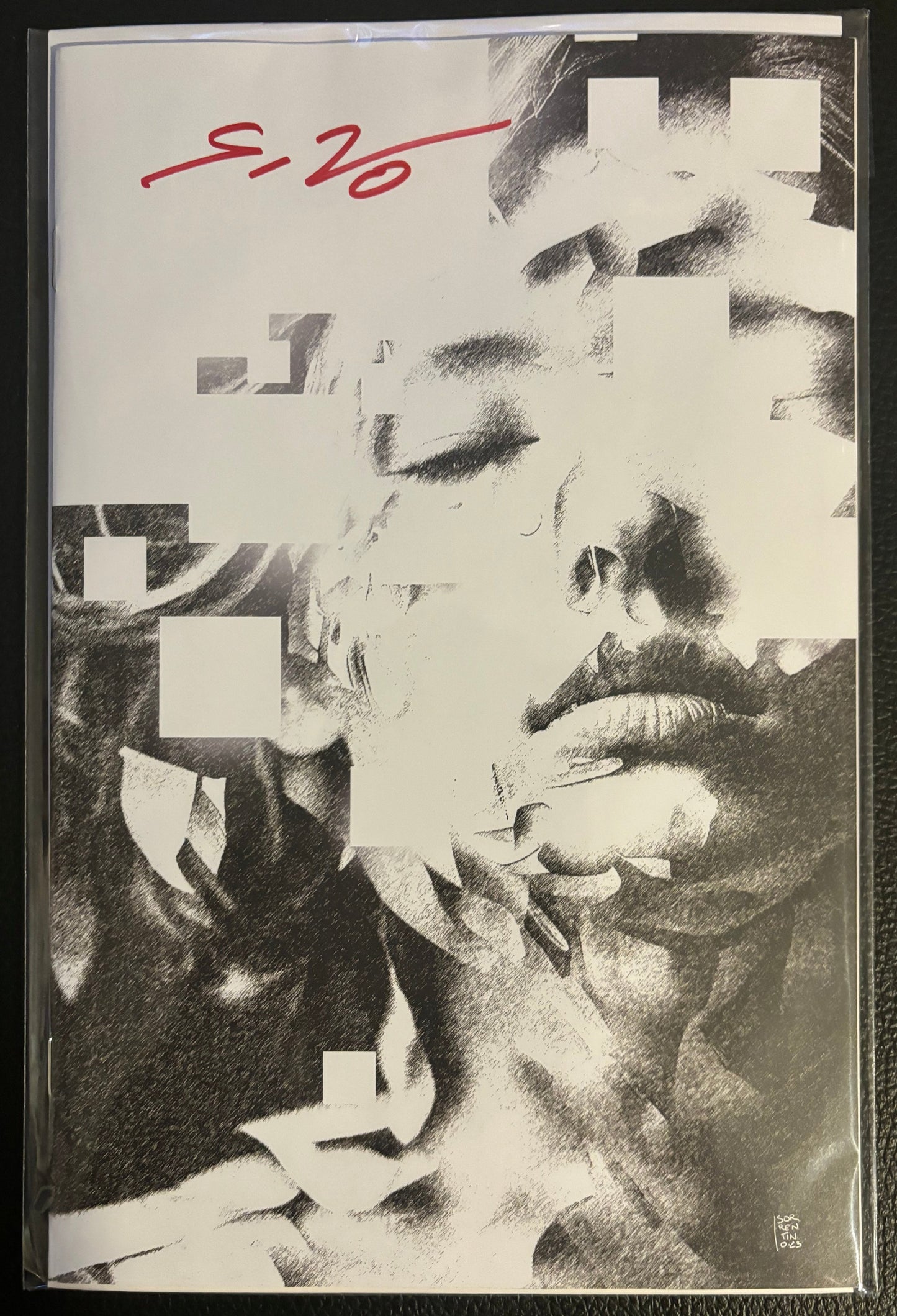 Displaced #1 Sorrentino ComicsPro Variant Signed by Ed Brisson