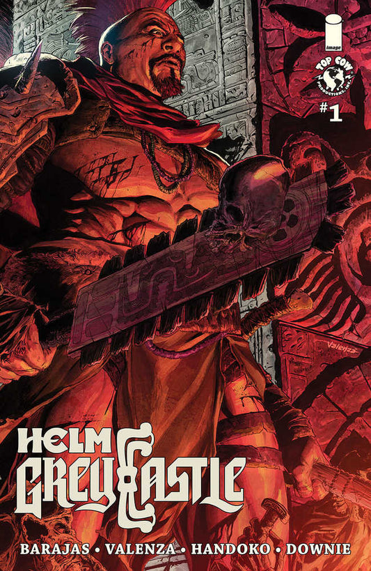 Helm Greycastle #1 (Of 4) Cover C Parker