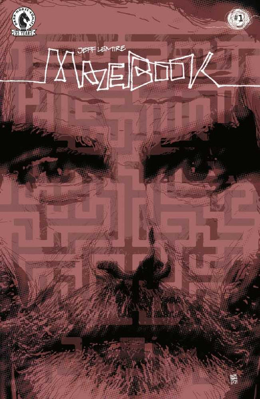 Mazebook #1 (Of 5) Cover B Sorrentino