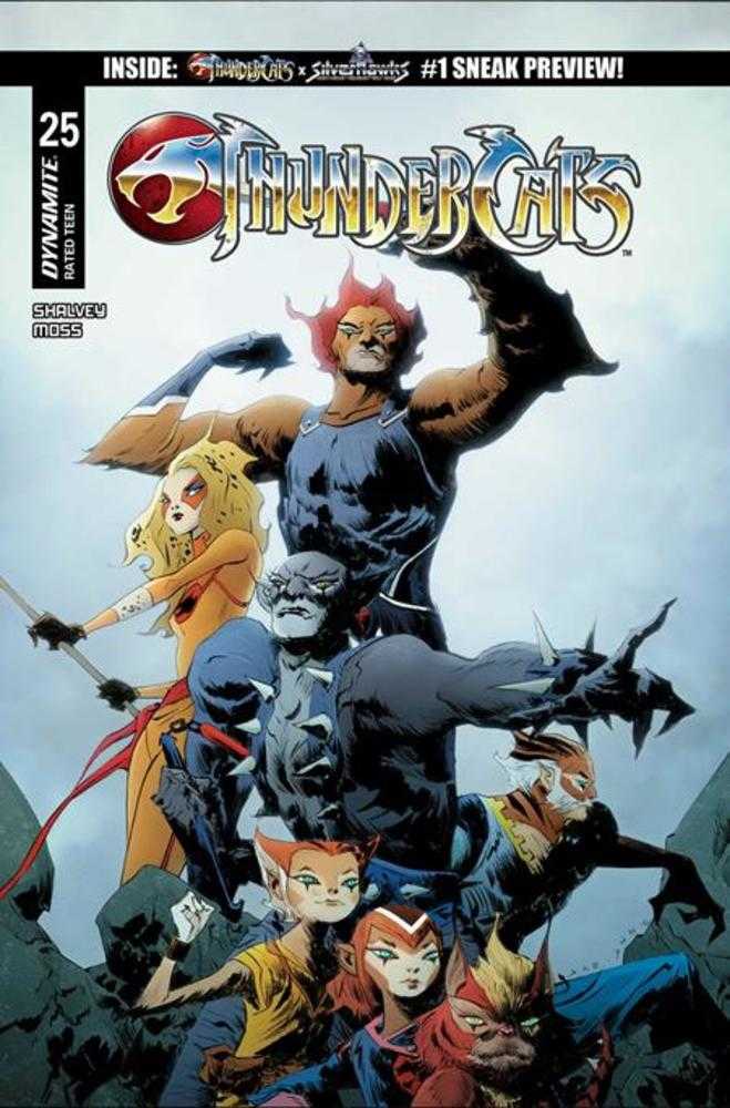 Thundercats #25 Cover C Jae Lee Variant