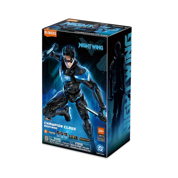 DC Champion Class Nightwing