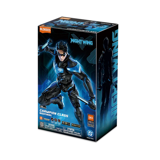 DC Champion Class Nightwing