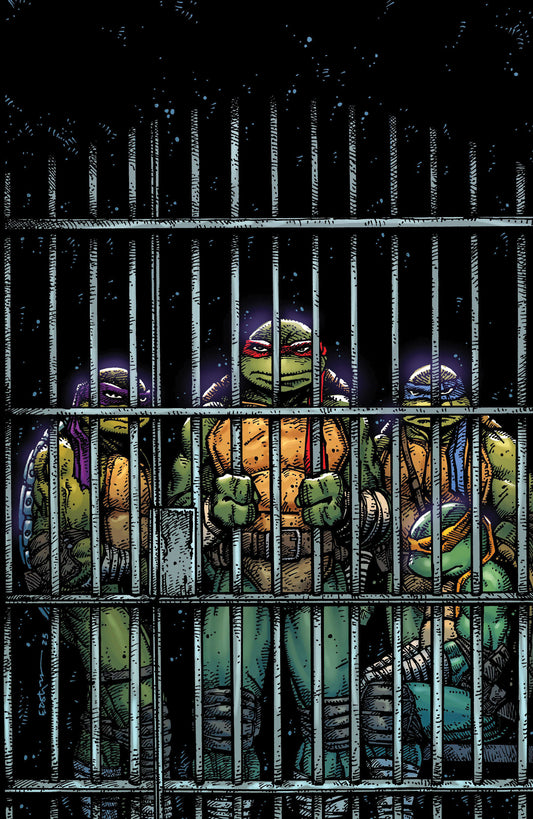 Teenage Mutant Ninja Turtles #11 1:10 Eastman Full Art Variant