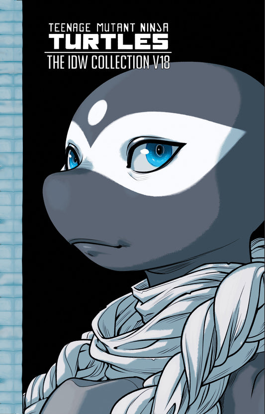 Teenage Mutant Ninja Turtles: The Idw Collection, Volume 18 (Damaged)