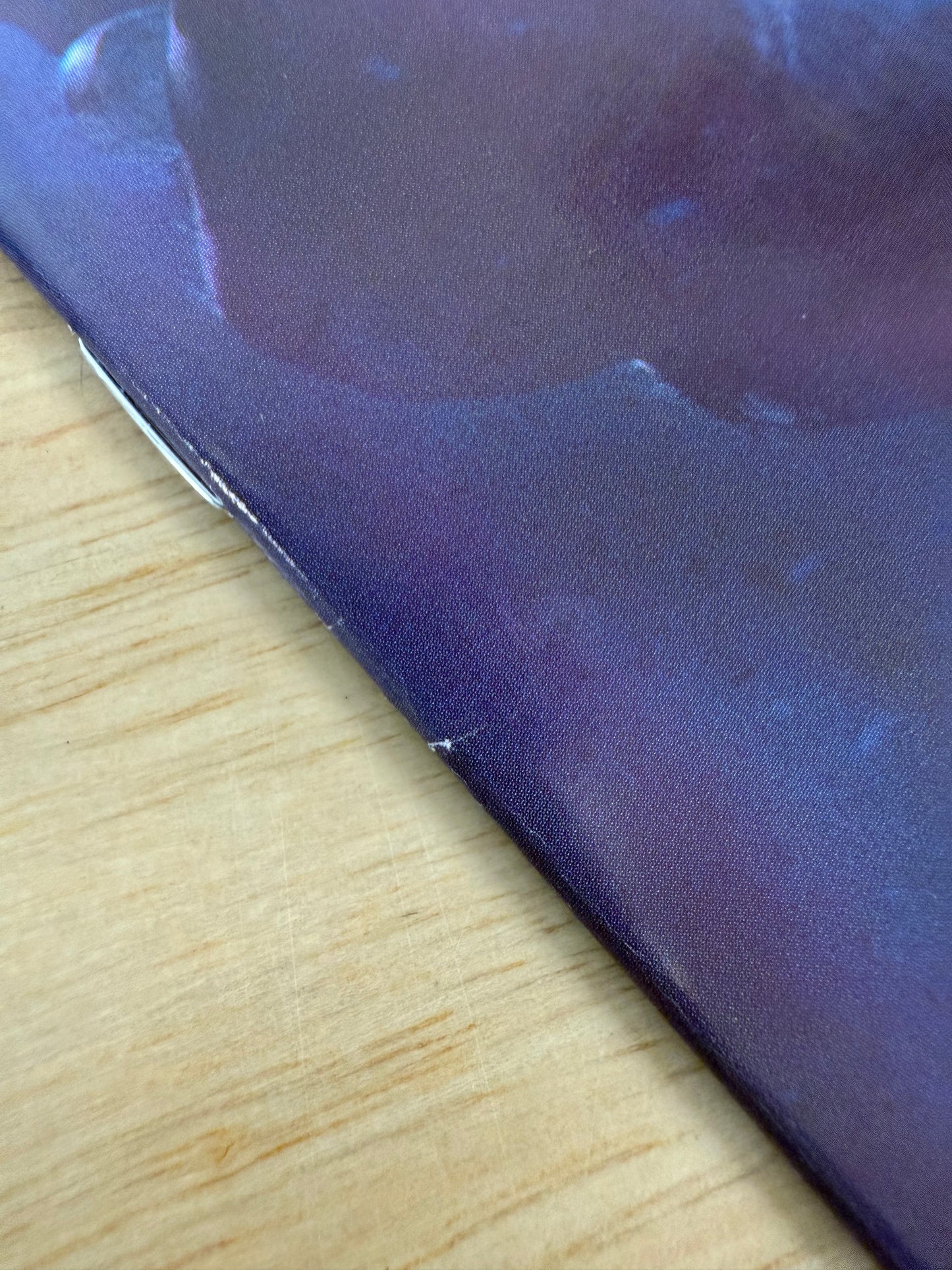 Teenage Mutant Ninja Turtles #13 1:100 Rahzzah Blind Bag Variant