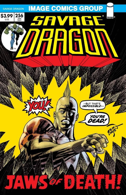 Savage Dragon #256 Cvr B Retro 70s Trade Dress (Mr)