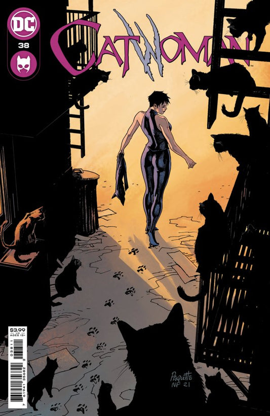 Catwoman #38 Cvr A Paquette