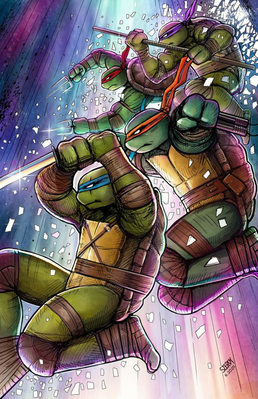 Teenage Mutant Ninja Turtles #13 1:25 Nathan Szerdy Blind Bag Variant